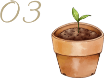 プラントベース