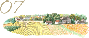 自家栽培のお米や地元食材を使用